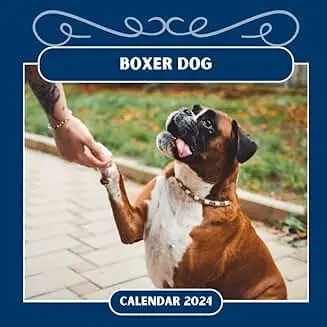 boxer calendar 2025